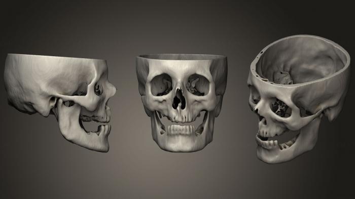 Anatomy of skeletons and skulls (ANTM_1293) 3D model for CNC machine